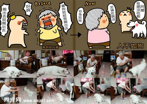 ����ǽ�����������һ����ʼ