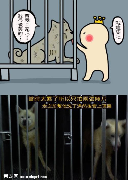 ����ǽ�����������һ����ʼ