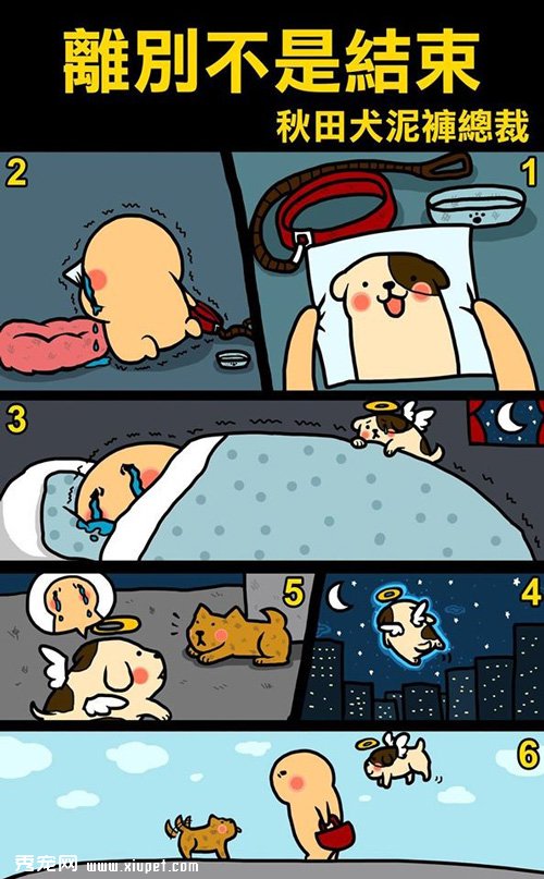 ����ǽ�����������һ����ʼ