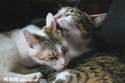 ˵�õĹ���Ϸ������������