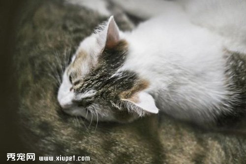 ˵�õĹ���Ϸ������������
