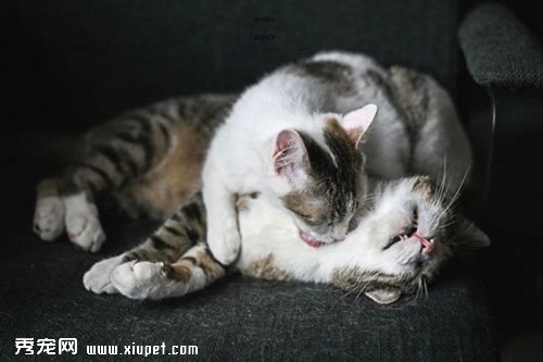 ˵�õĹ���Ϸ������������