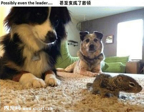�������㣬�Ҳ�ӵ���˵ڶ�������