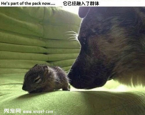 �������㣬�Ҳ�ӵ���˵ڶ�������
