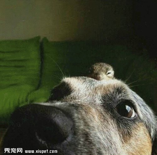 �������㣬�Ҳ�ӵ���˵ڶ�������