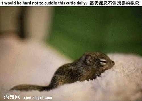 �������㣬�Ҳ�ӵ���˵ڶ�������