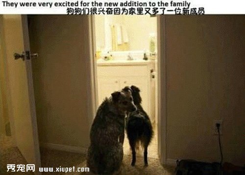 �������㣬�Ҳ�ӵ���˵ڶ�������