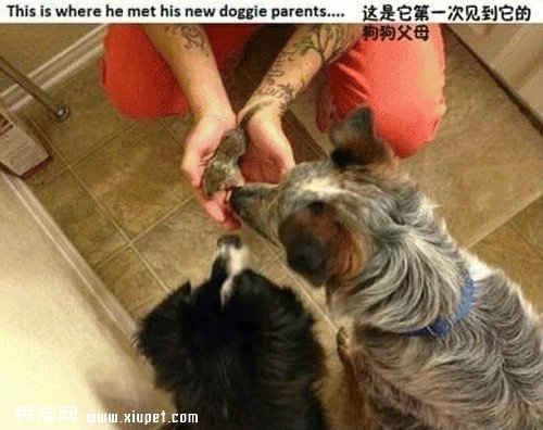�������㣬�Ҳ�ӵ���˵ڶ�������
