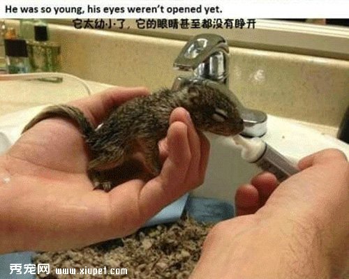 �������㣬�Ҳ�ӵ���˵ڶ�������