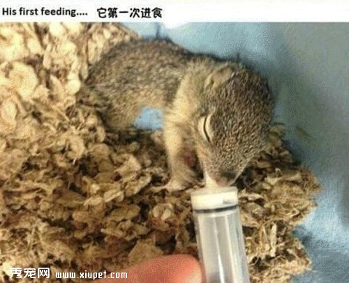 �������㣬�Ҳ�ӵ���˵ڶ�������