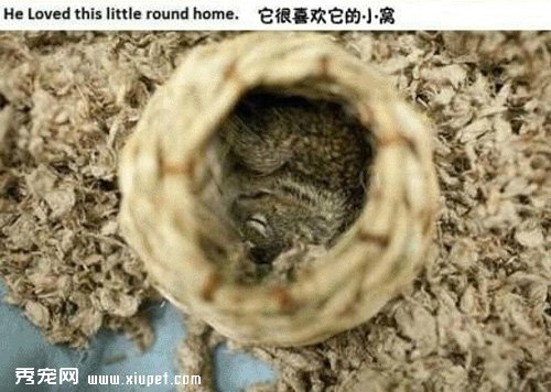 �������㣬�Ҳ�ӵ���˵ڶ�������