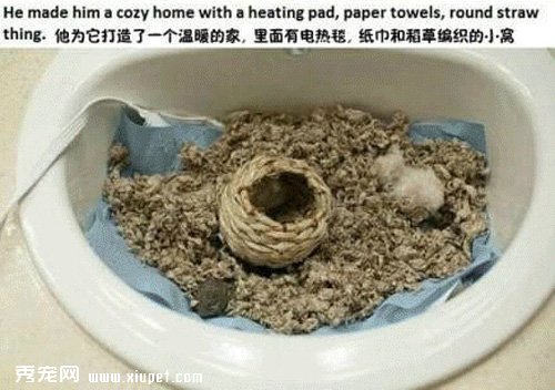 �������㣬�Ҳ�ӵ���˵ڶ�������
