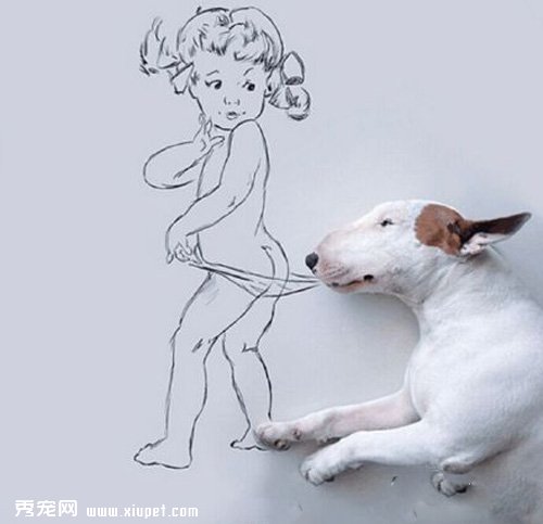 �ޣ������������Զ��󿪶Թ���������������