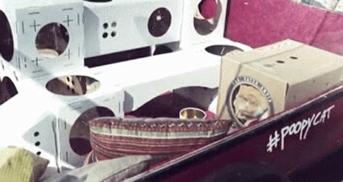 ����˧��Ϊ��˾���ƴ���ֻ�����������ֳ��Ӻ����ﵽ��Ӣ��
