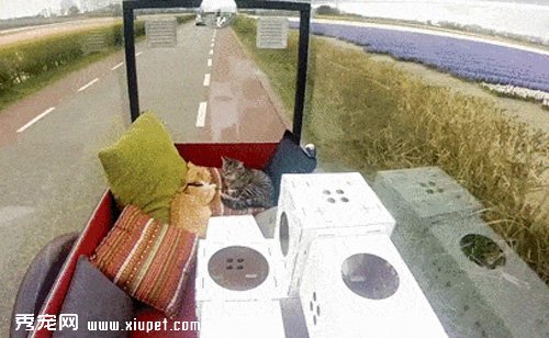 ����˧��Ϊ��˾���ƴ���ֻ�����������ֳ��Ӻ����ﵽ��Ӣ��