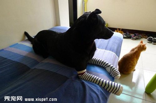 û�н���Ҳ�в��õ���������ӹ�