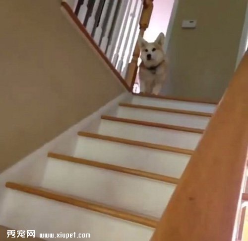 �»���֫ƽ����¥�����Ӵ���