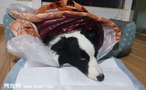 �ò����ײŶ��㣬��ȴ���Ҷ�ȥ��