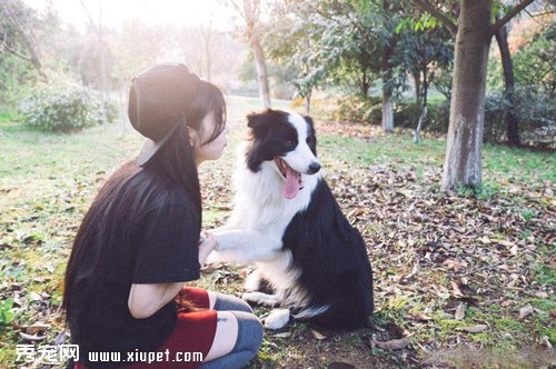 �ò����ײŶ��㣬��ȴ���Ҷ�ȥ��