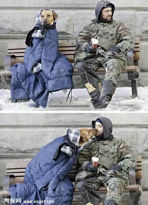 �������غ��븶��