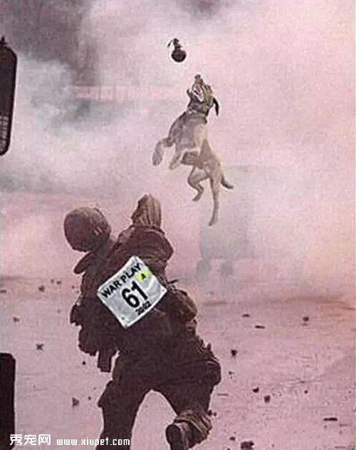 �������غ��븶��