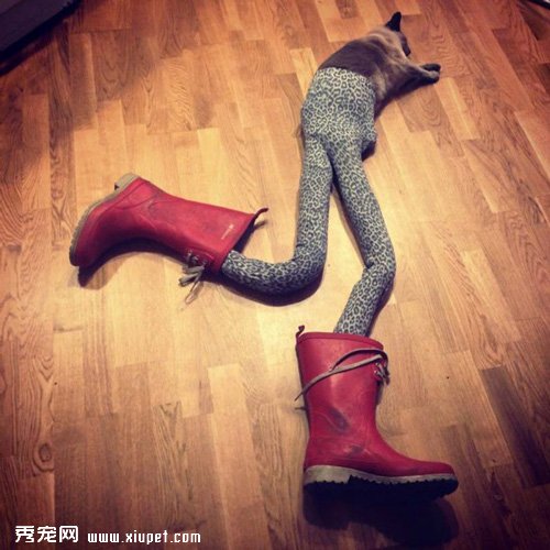 �������������ģ�ش�����������д��