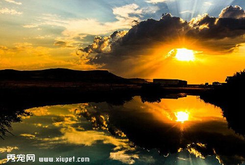 ʮ����Լ��İ��ĳ��ﹷ����·��