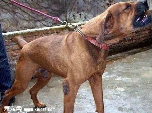 �㲻֪���Ķ�Ȯ��������Щ������Ĳ�����