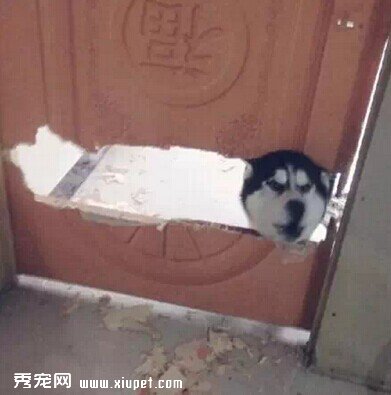 �������ƻ�����������ô�죿