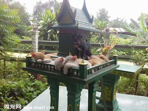 ��ռ����ĳ���������ֱ���������ؼ�