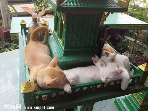��ռ����ĳ���������ֱ���������ؼ�