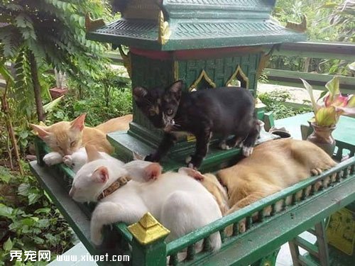��ռ����ĳ���������ֱ���������ؼ�
