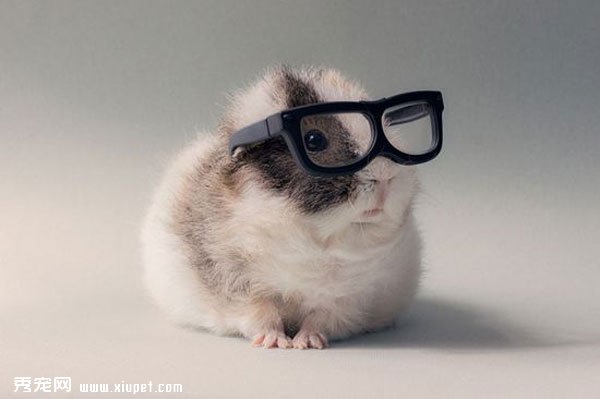 ���ȳ�ʱ�еĳ��������Booboo