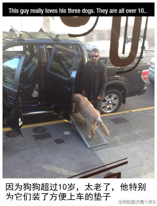 ��Щ�˺Ͷ���֮����ů��˲��