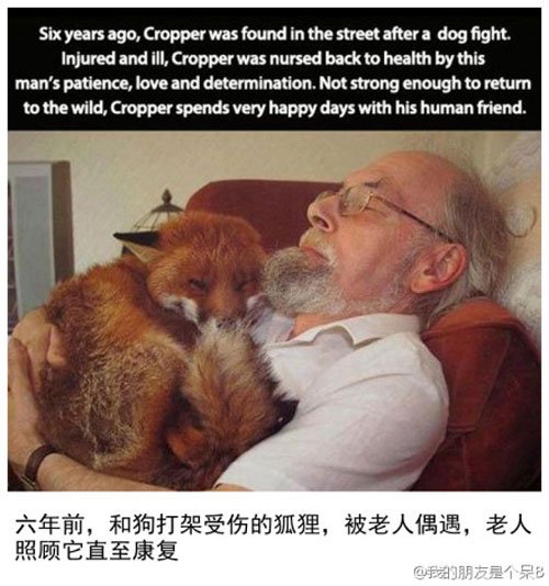 ��Щ�˺Ͷ���֮����ů��˲��