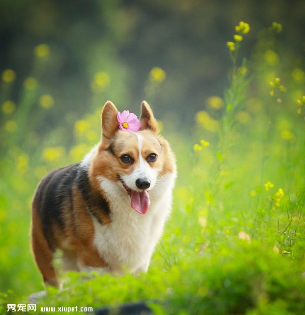 ���»�Ȯд��ͼƬ���»�Ȯ�����˶�д����Ƭ