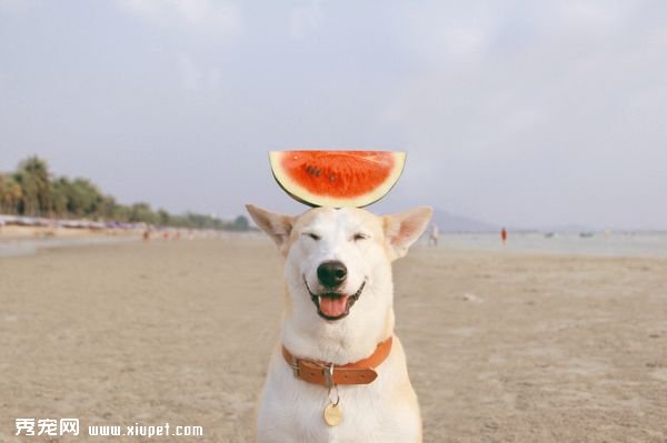 ��Ϊһ������ǿ���Ҹ�����һֱЦ��ȥ