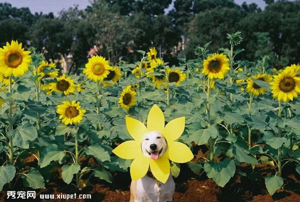 ��Ϊһ������ǿ���Ҹ�����һֱЦ��ȥ