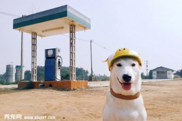 ��Ϊһ������ǿ���Ҹ�����һֱЦ��ȥ