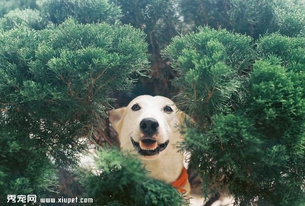 ��Ϊһ������ǿ���Ҹ�����һֱЦ��ȥ