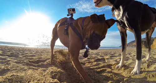 ����������ר����GoPro��ֻ����ר�������
