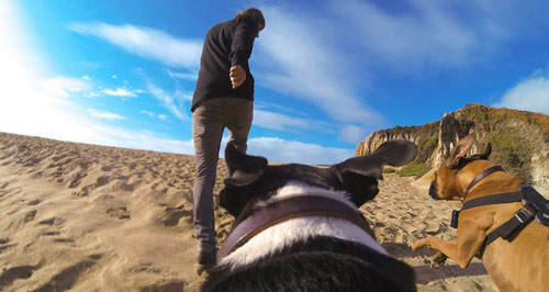 ����������ר����GoPro��ֻ����ר�������