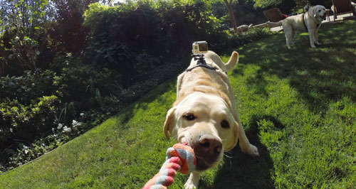 ����������ר����GoPro��ֻ����ר�������