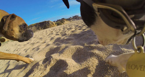 ����������ר����GoPro��ֻ����ר�������