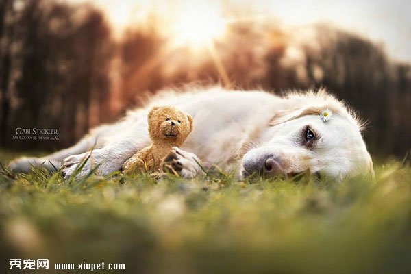 ��ëMail��̩������Ӱ���ε���������