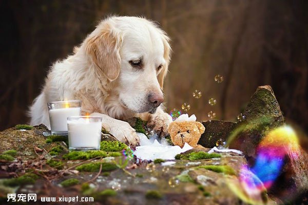 ��ëMail��̩������Ӱ���ε���������