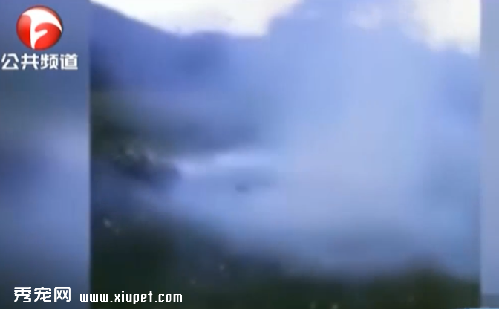 ʵ������Ű���Ҳ��̶� ������ըΪ�ҽ�