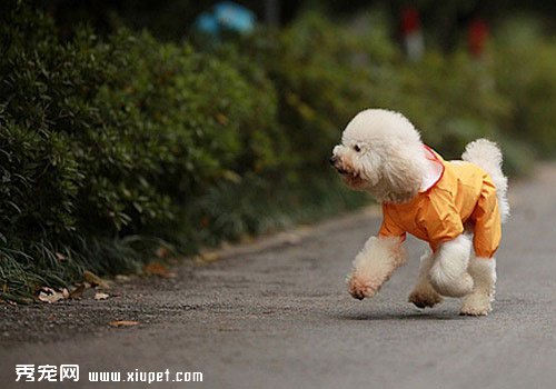 ����ж�ĸȮ���м�����չ˻����ںͲ����ڵ�ĸȮ��Ȯ��