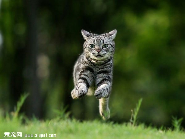 ����ֻΪѰ�������Ϣ
