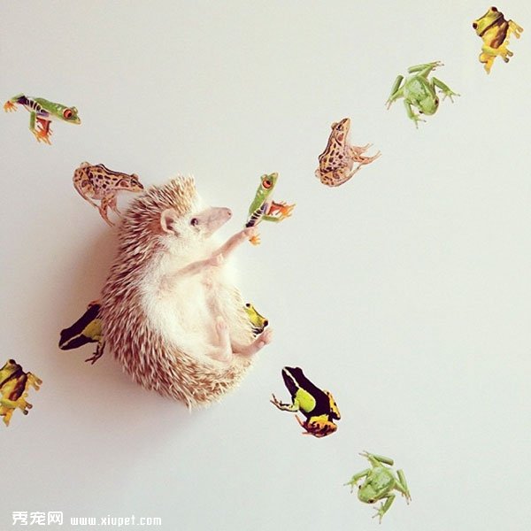 �����пյ�С���Darcy